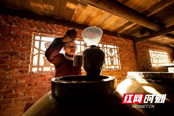 通道:乡村佳酿 村民自酿米酒助脱贫_杨丽娥