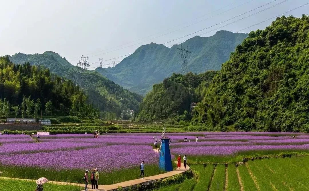 永州這些新興景區成旅遊網紅地你去過哪些