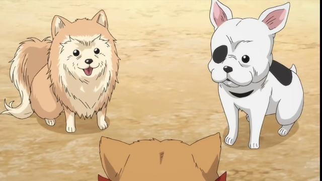 1月新番,堪比《庆余年》的穿越动漫,还不快来瞧瞧