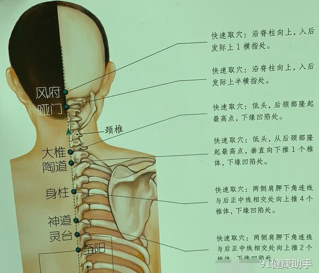 身柱准确位置图和功效图片