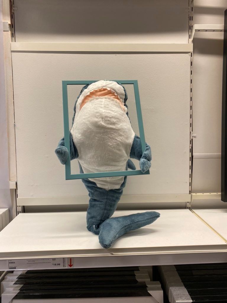 我在宜家跟鲨鱼玩躲猫猫11万网友点赞超废萌宜家鲨鱼又火了