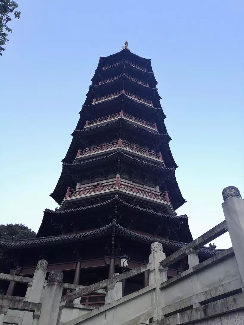 邂逅了谁?如果还没去天童寺,不如趁着这暖冬,约起来?
