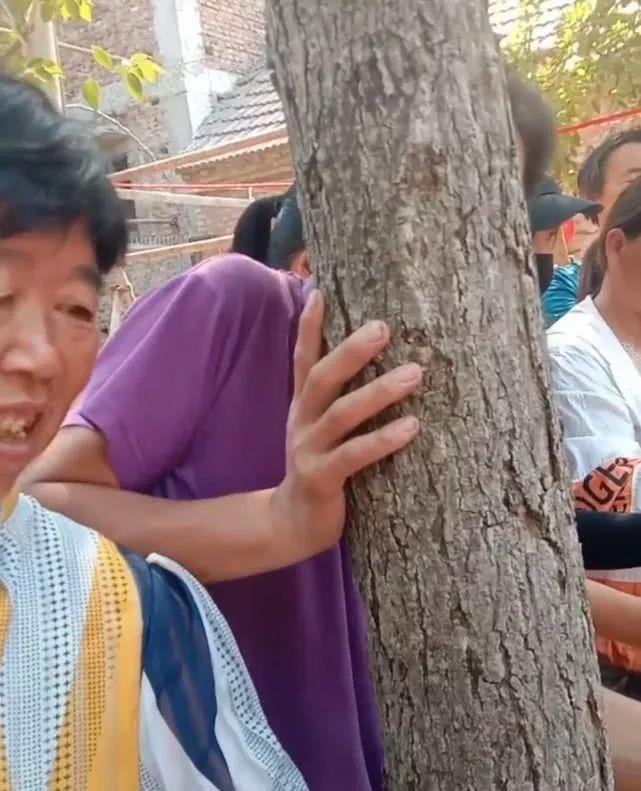 原创大衣哥家玉米熟了,一院子人帮忙剥,热心乡邻朱善阔躲在树后拍照