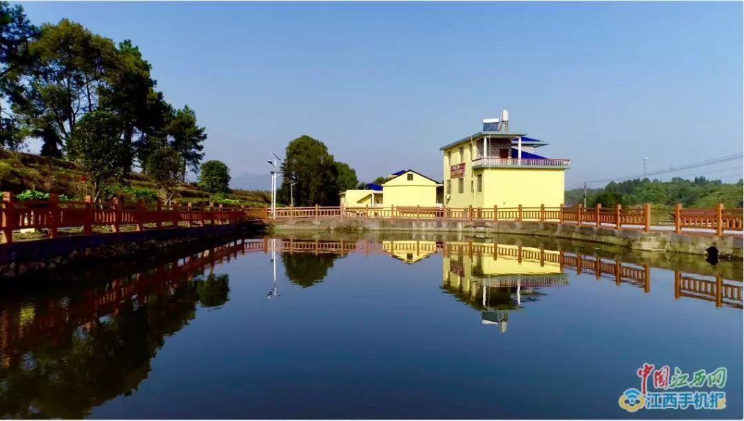 安源高坑打好强镇富民组合拳让高质量发展更有温度