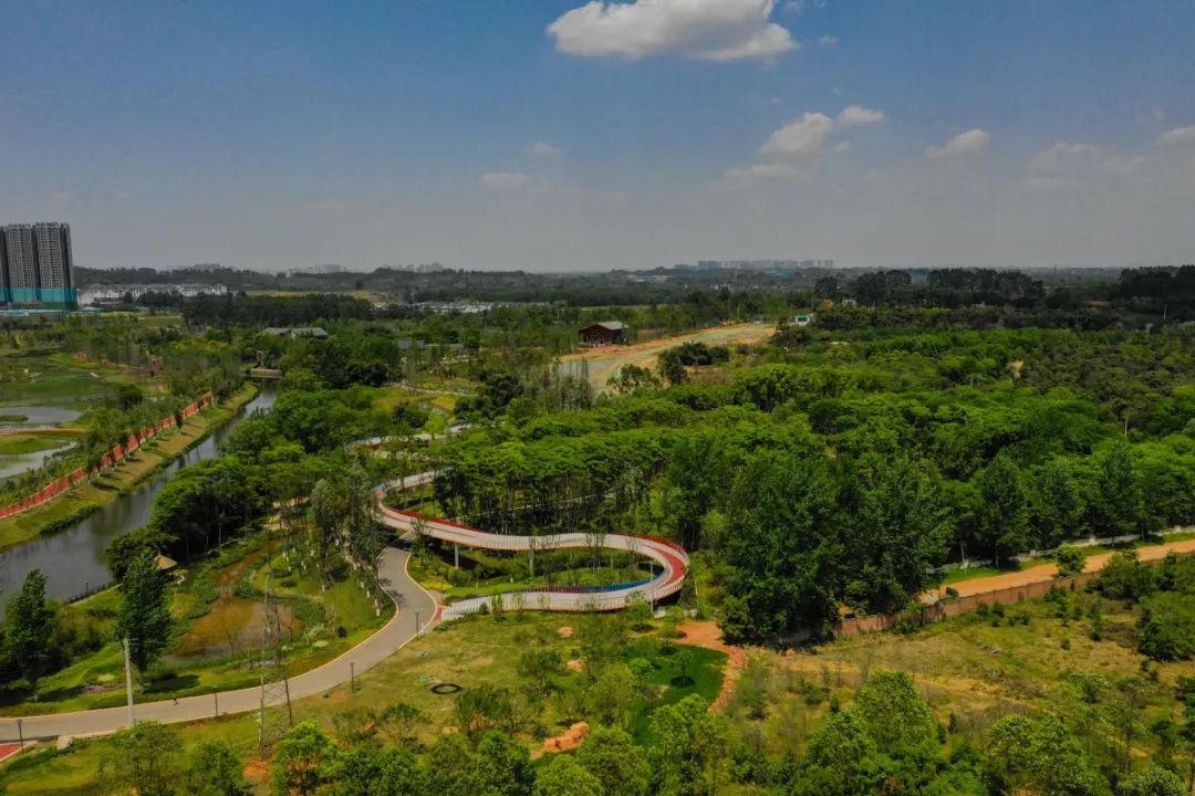 公园城市新区印象鹿溪智谷绿道