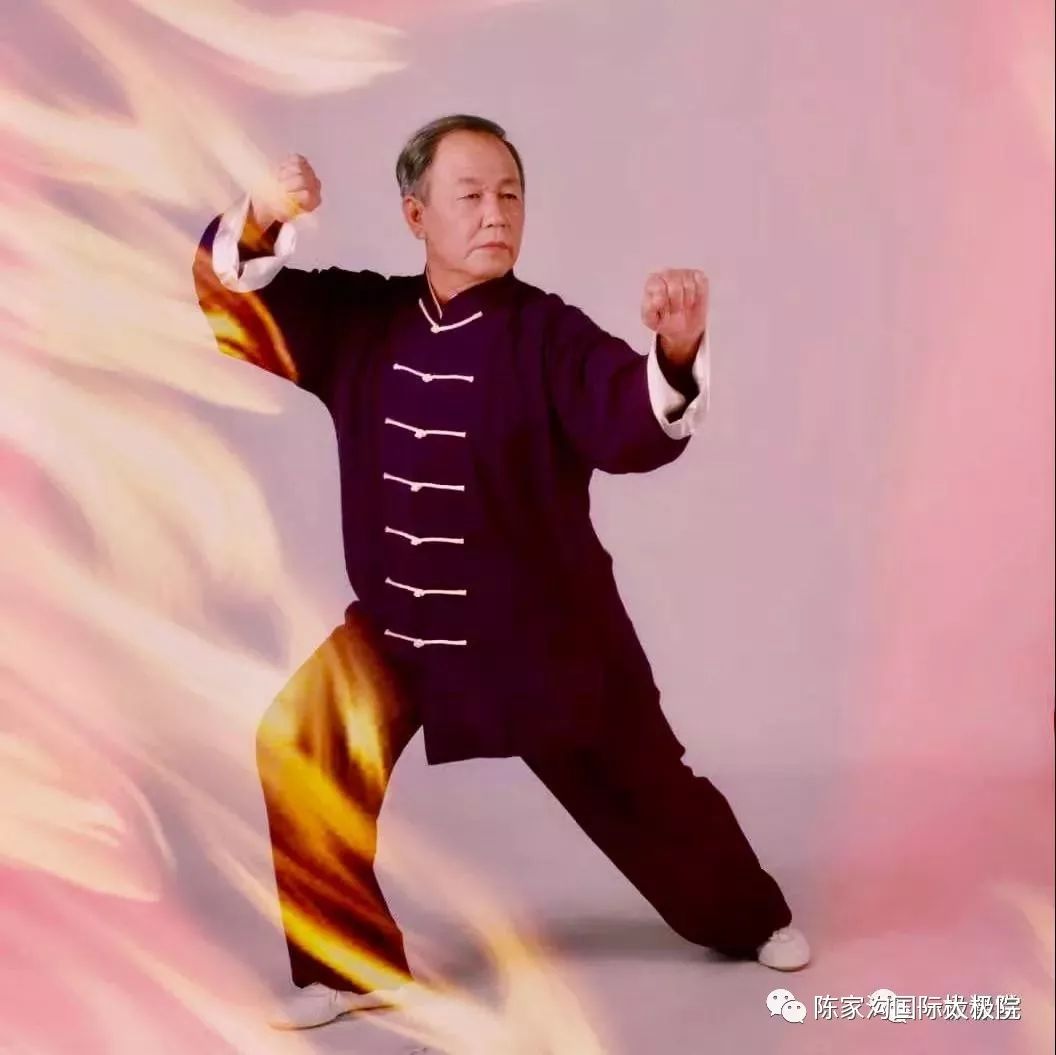 李德印|膝盖说,掷地有声!_太极拳