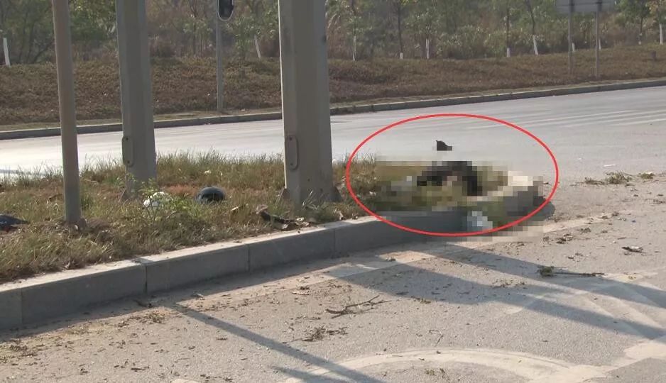 悲剧 扬帆大道南一辆二轮摩托车撞上了道路中间花带 驾驶员当场死亡 钦州市