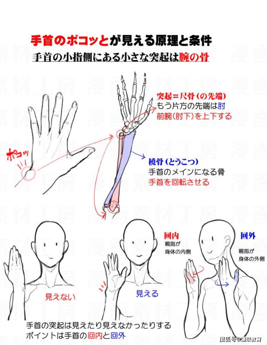 「教程」怎樣畫漫畫手臂和手這一素材,專業繪畫教程與素材