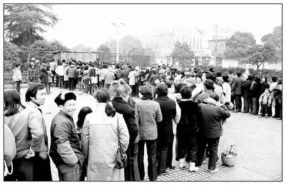 1987年,排队买报纸1988 武林广场(后面是正在建设的杭州大厦)80年代