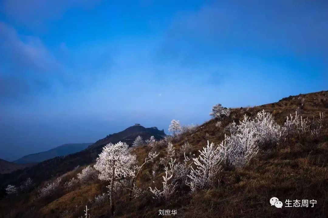 周宁首场雾凇来袭~带你去看冬季最美的仙风山!