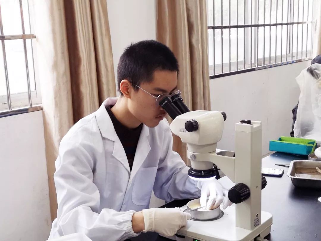 杨海明教授与学生们课前交流而后,杨海明教授开始了其第一天的课程,为