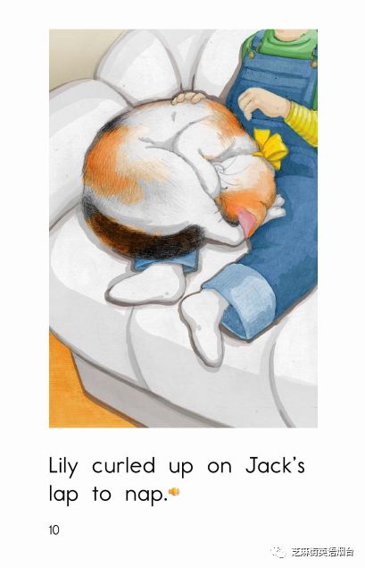 绘本故事lilythecat
