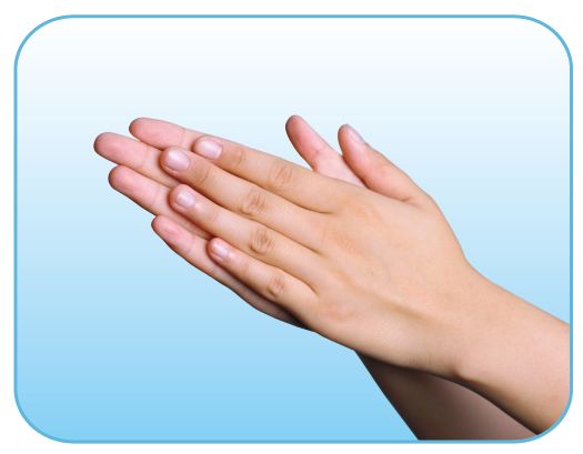 掌心相对,手指并拢,相互揉搓7手心对手背沿指缝相互揉搓,交换进行8