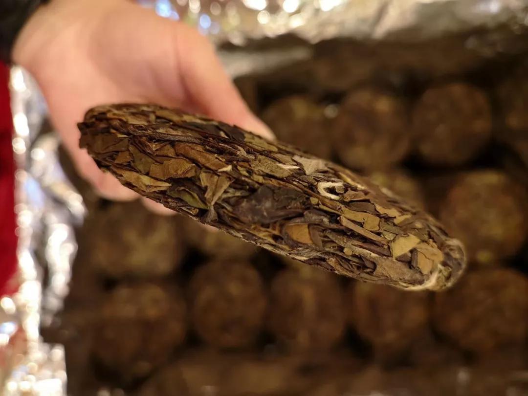 为什么你存不好白茶,这五点须注意!