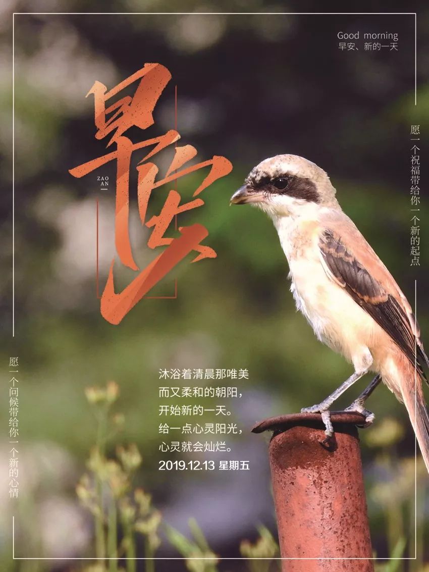 周五早安心语正能量优美的语句 2019很美的早上好图片带字正能量