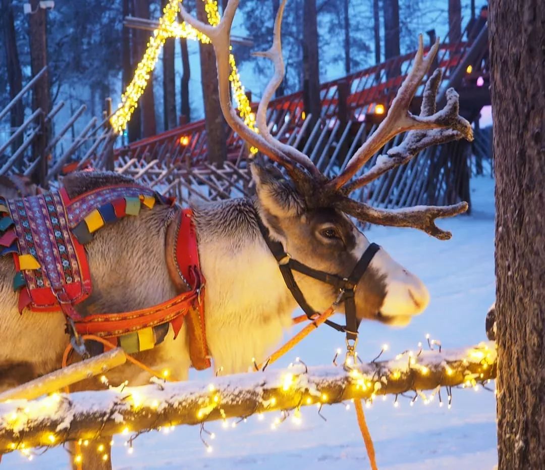 送给大人的5个圣诞小镇:拥抱麋鹿和雪人,像北欧童话那样去生活