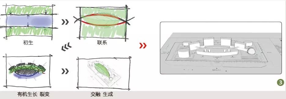 乌鲁木齐精神科医院:城市心灵守护者