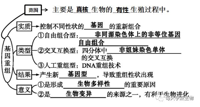 基因重組知識點1壹基因重組基礎知識梳理從現在起,讓我們每天堅持學點