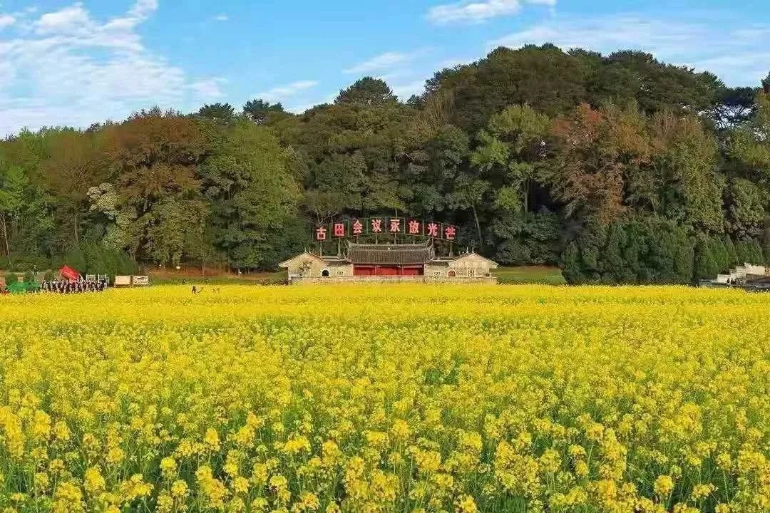 古田会议主题板报图片