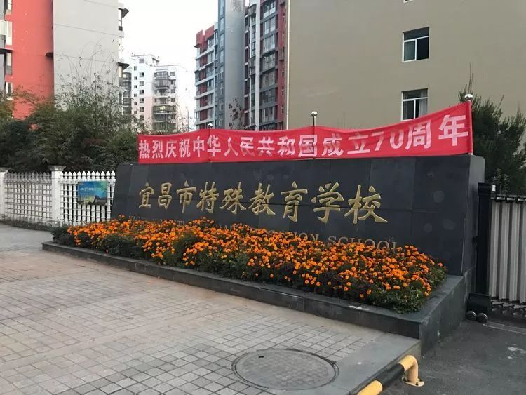 宜昌市特殊学校图片