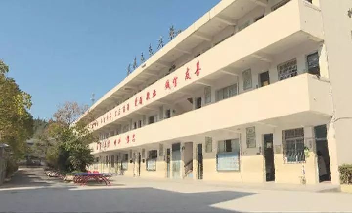 青田章中集团文化润物无声青春绽放山乡