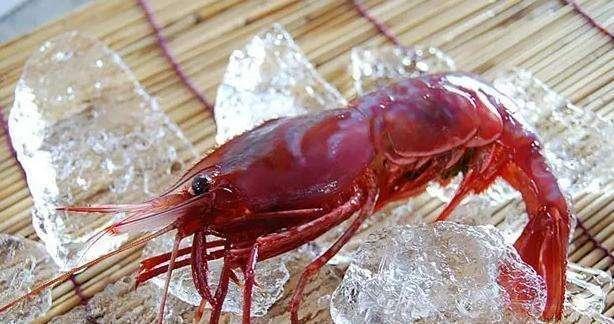 北海道葡萄虾你见过吗小小一只要一百多元刺身原汁原味