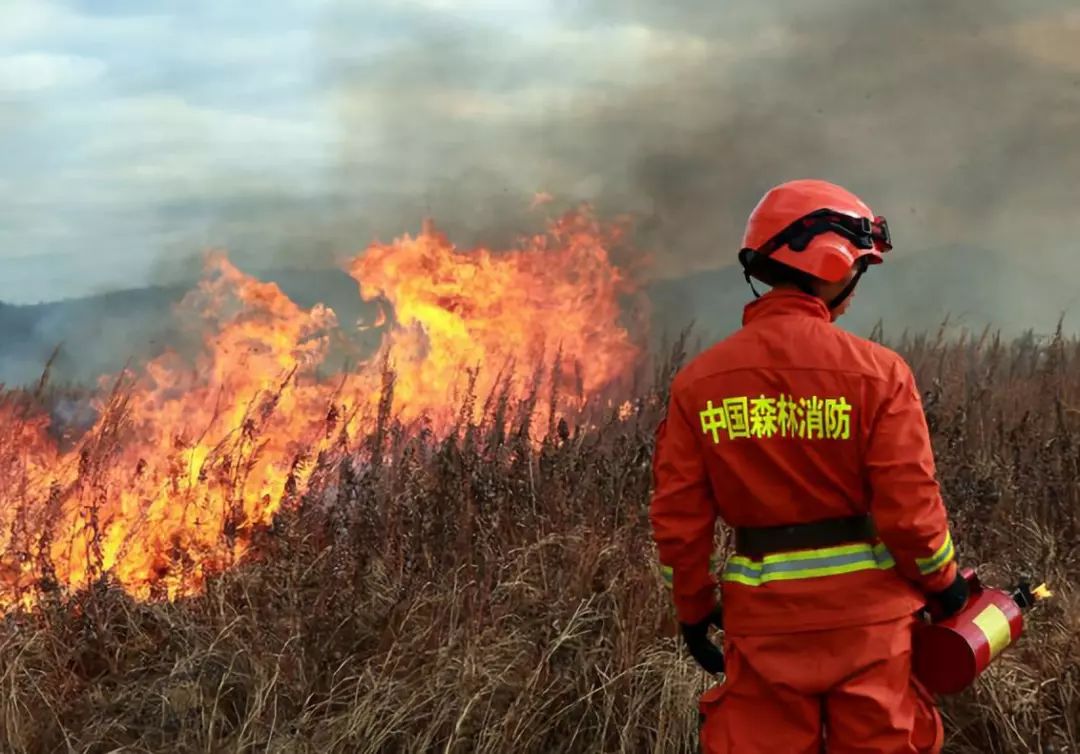 惠东发布禁火令森林防火区内严禁一切野外用火