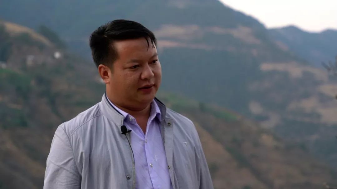 一根牛尾巴在宾川山区牛起来