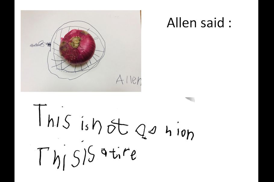 allaboutimagination如果萝卜不是萝卜青菜也不是青菜