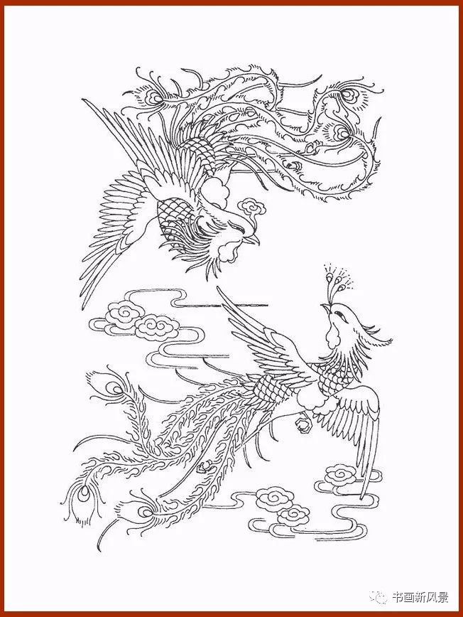 一组优美的凤凰白描线稿