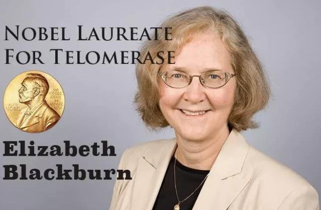 这可是2009年诺贝尔生理或医学奖得主伊丽莎白·布莱克本(elizabeth h