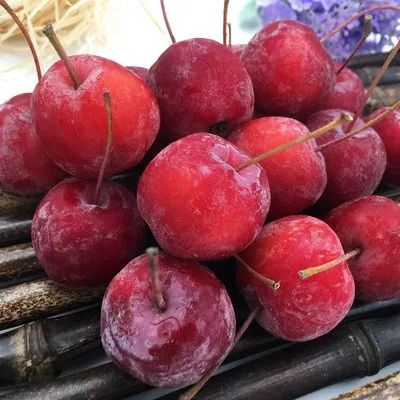 东北的冬天也太好吃了吧_花红