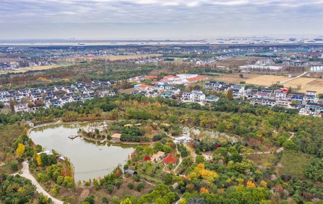 第一批"碧溪十大最美村庄"新鲜出炉646464646464