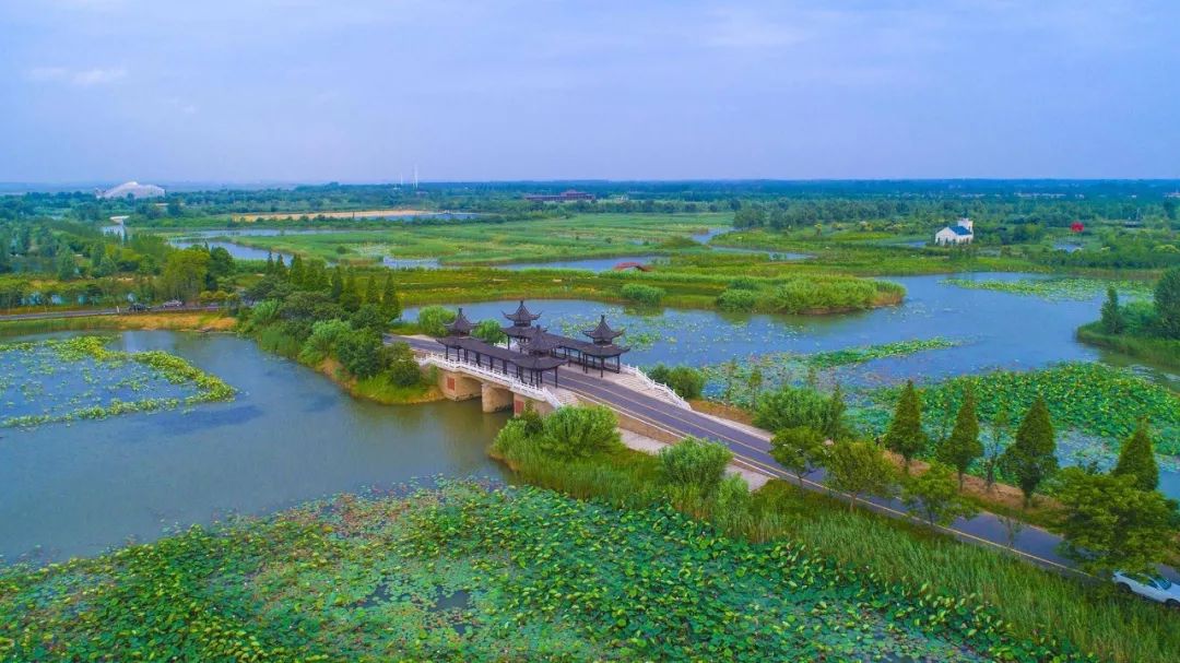 贊洪澤湖溼地景區喜提江蘇省十佳自駕遊目的地