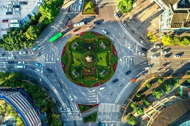 季有花开的景观效果,首次尝试在该交通岛的绿带里种植荷花等水生植物