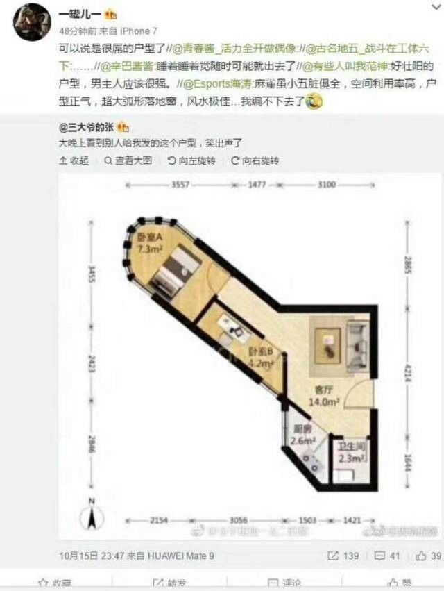 户型跑偏,装潢逆天!2019中外最烂房产大赏!