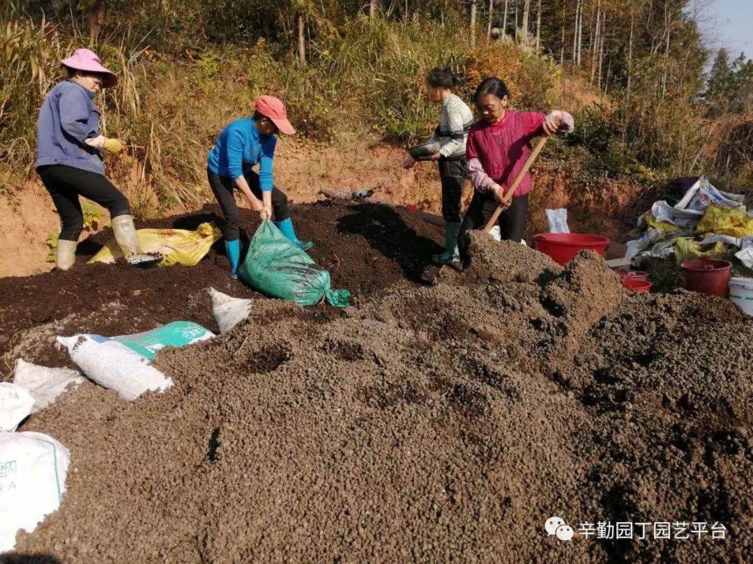 黑山羊粪发酵记录