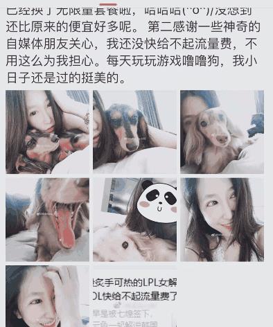 贝拉解说