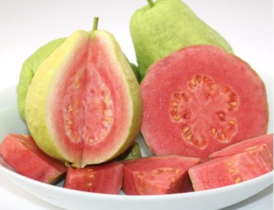 此种水果南方人最熟,能起到治疗糖尿病的作用,是天然胰岛素