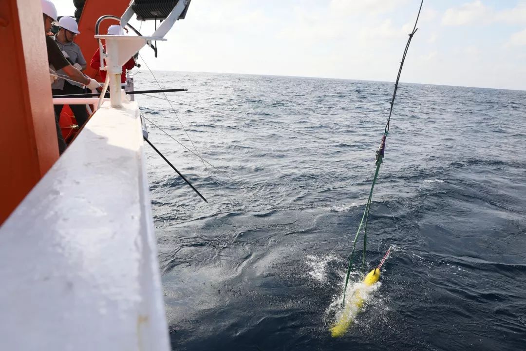 海洋资讯(1196)| "海翼""组团"观测印度洋