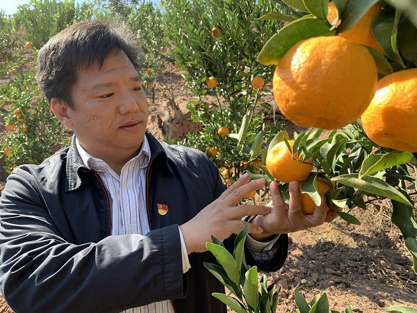 管委会委员的岗位上来到云南普洱景东彝族自治县,担任县委常委,副县长