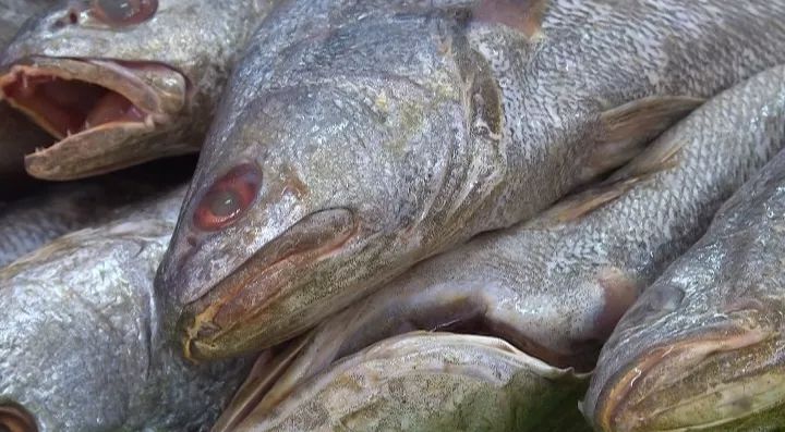 回老家办起了温州上佳食品有限公司,集野生纯鮸鱼鱼饼技术研发,生产