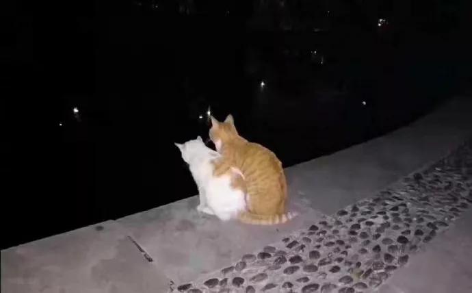 图片[28] - 【xizi被窝段子20191214】拿你有的 换你要的，世界如此残酷却公平 - xizi