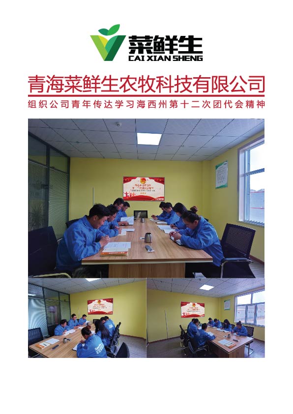 以及共青团海西州委书记丁凤山同志所做的工作报告的解读