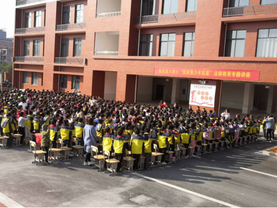 临武县八完小开展2019法制讲座，弘扬宪法精神