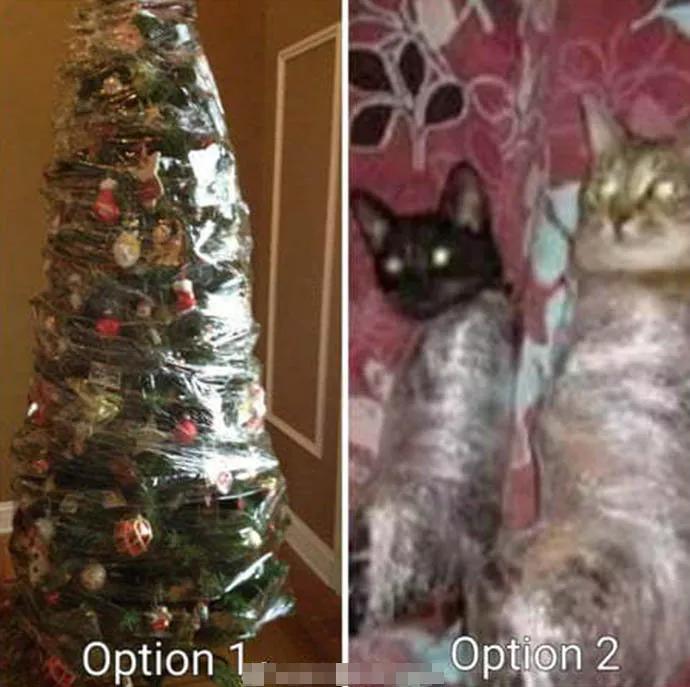 图片[21] - 【xizi被窝段子20191214】拿你有的 换你要的，世界如此残酷却公平 - xizi