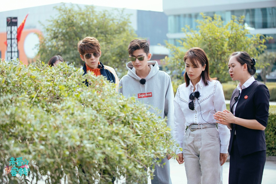 看了《客栈3》才知宁夏真是风水宝地,想和刘涛吴磊一起采葡萄