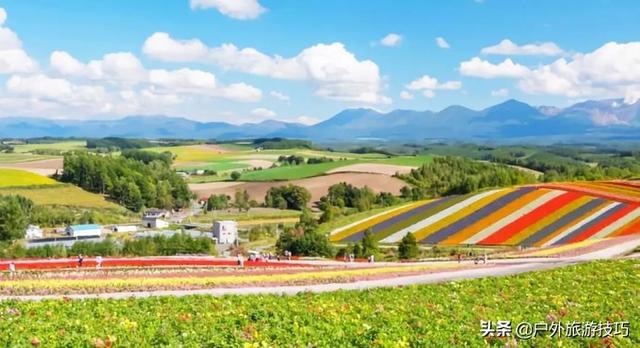 日本北海道富良野骑行攻略 试过在花田 花海中骑行吗 公园