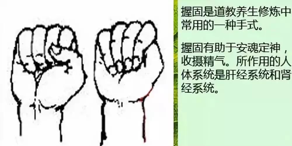 腎氣足百病除,秋冬補腎的4種方法,為冬天打基礎