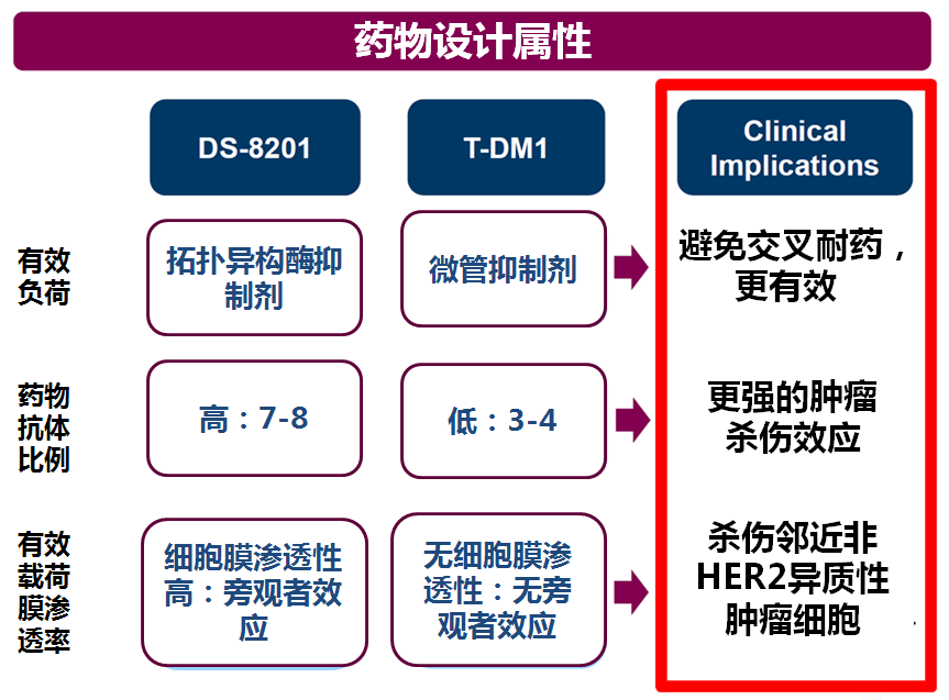 药物,在具备了曲妥珠单抗和拓扑异构酶i抑制剂双重抗肿瘤作用机制的